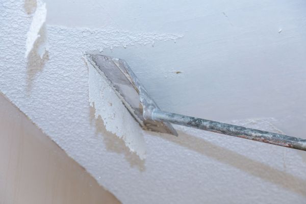 Ceiling Removal Service